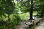 Springendal